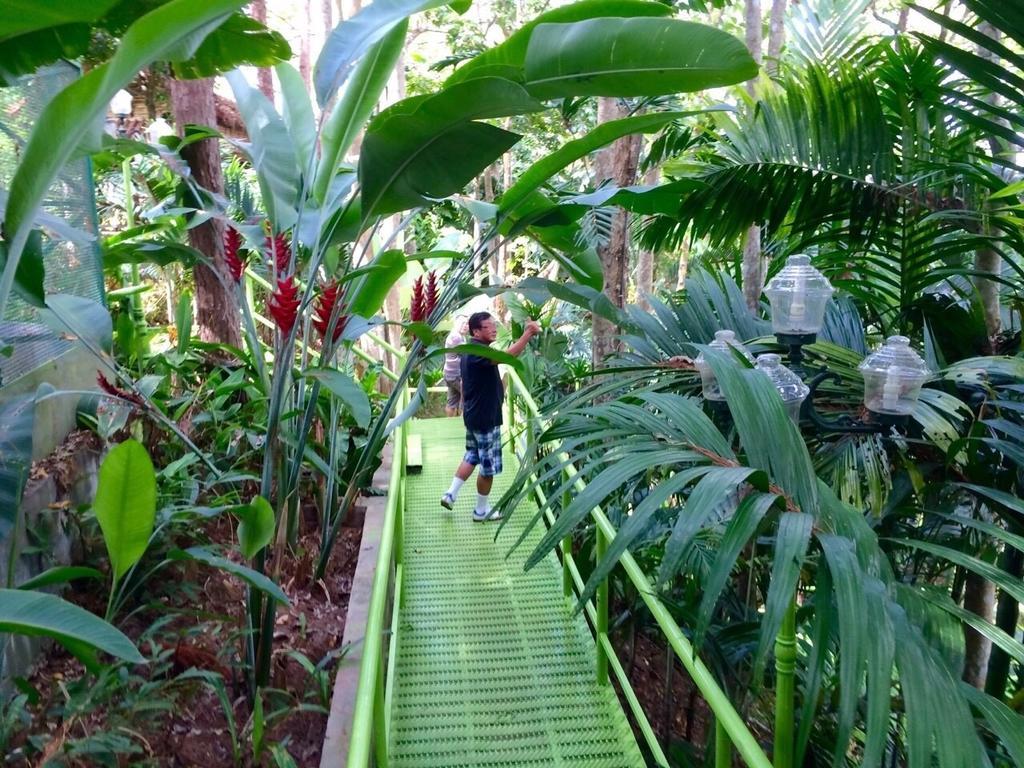 Phu Pha Nam Resort Dan Sai Экстерьер фото